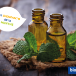 découvrez les bienfaits surprenants de la menthe dans vos crêpes ! apprenez comment cet ingrédient frais et aromatique peut rehausser le goût de vos plats tout en offrant des propriétés digestives et revitalisantes. idéal pour une touche saine et gourmande !