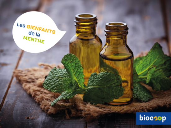 découvrez les bienfaits surprenants de la menthe dans vos crêpes ! apprenez comment cet ingrédient frais et aromatique peut rehausser le goût de vos plats tout en offrant des propriétés digestives et revitalisantes. idéal pour une touche saine et gourmande !