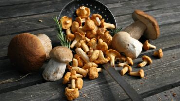 découvrez les bienfaits des crêpes aux champignons : une recette savoureuse et nutritive qui allie le goût délicat des champignons à la légèreté des crêpes. parfaites pour une alimentation équilibrée, elles sont une source de vitamines et de minéraux essentiels. idéales pour un repas sain ou un dîner gourmand !